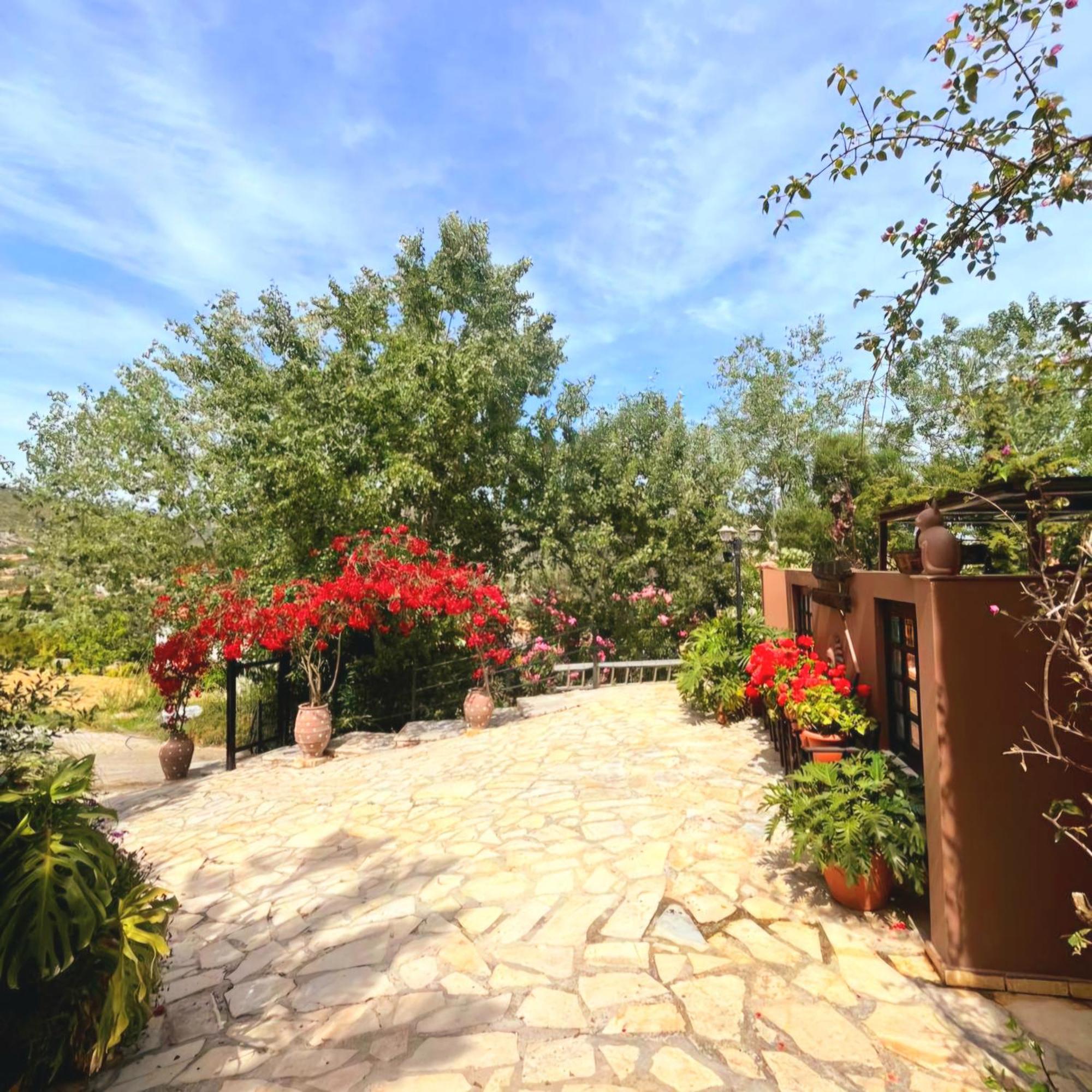 Okeanis Apartments & Suites Adults Only 케텔리오스 외부 사진