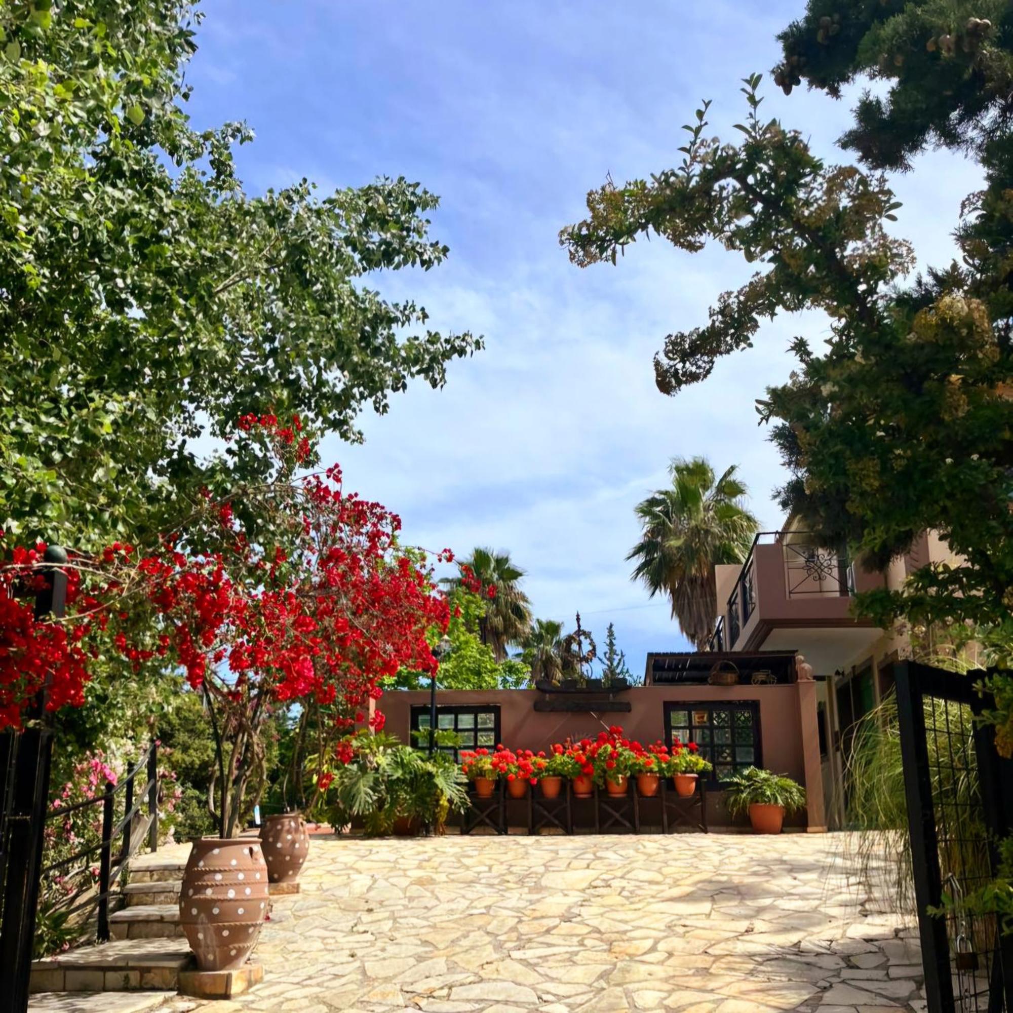 Okeanis Apartments & Suites Adults Only 케텔리오스 외부 사진